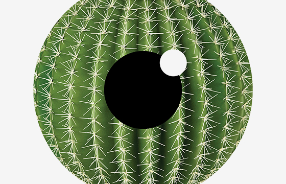 Dropsept&Dropdefence